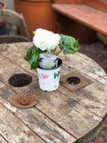 Woolley Moor Nurseries Begonia NonStop (Upright) "Mocca White" - 9cm x 3 Plants - Woolley Moor Nurseries