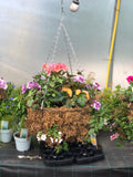 Woolley Moor Nurseries Moss Hanging Basket "Complete Mix" - 16" (40.1cm) - Woolley Moor Nurseries
