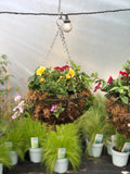 Woolley Moor Nurseries Moss Hanging Basket "Complete Mix" - 12" (30.5cm) - Woolley Moor Nurseries