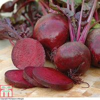 Woolley Moor Nurseries Beetroot Boltardy - Woolley Moor Nurseries